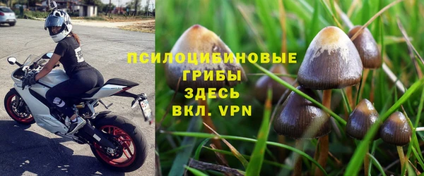 бутират Алексин