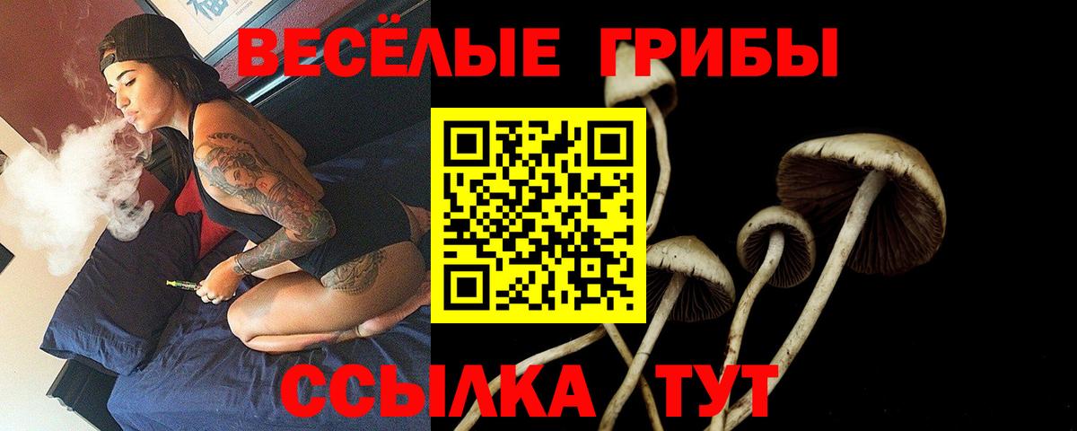 Псилоцибиновые грибы Psilocybine cubensis  наркотики  Первоуральск  Вход с VPN 